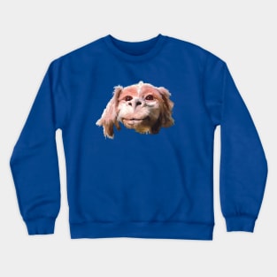 Falkor a Luck Dragon Crewneck Sweatshirt